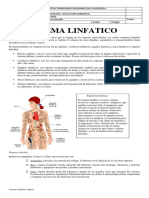 355622378-Guia-Sistema-Linfatico.pdf