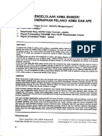 Pengelolaan Asma Dengan Menerapkan Pelangi Asma APE: Manfaat Mandiri DAN