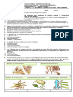 89129915-Evaluacion-4-Excrecion-en-Invertebrados-y-Vegetales.docx