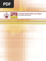 PUC Formação de Green Belts