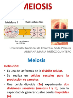 Meiosis PDF