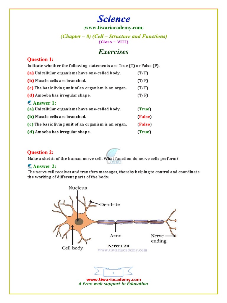 Class 8 Science Chapter 8 Solutions | PDF | Cell Nucleus | Cell (Biology)