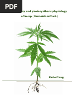 Agronomy and Photosynthesis Physiology of Hemp (Tang, 2018)