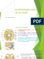 El ojo-Neurofisiología central de la visión (cap. 51).pptx
