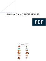 Animals and Their House