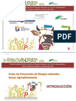 Guía de Gestión de La Prevención de Riesgos Laborales en El Sector Agroganadero Cultivo Extensivo, Intensivo y Vacuno de Leche PDF