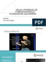 EFECTO DE PH Y ORP EN FLOTACIÓN (003).pdf