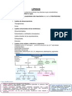 Tema 4 Lípidos