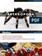 Artrópodos 