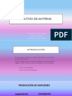 Cultivo de Anteras-1