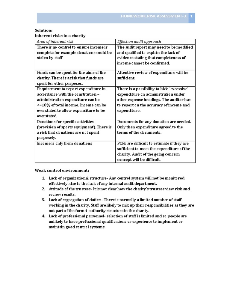 Charity Risk Assessment Overview | PDF