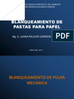 224470924-Blanqueamiento-de-Pulpa-1.ppt