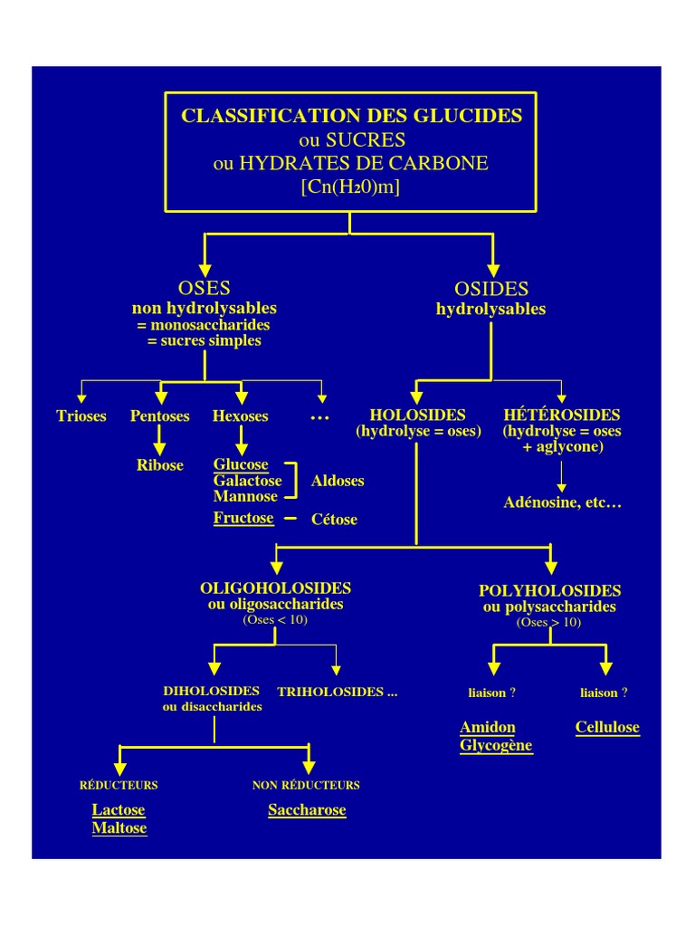 Classification des glucides et oses | PDF | Carburants renouvelables ...