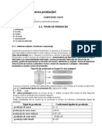 409027476-Procesul-de-Productie.docx