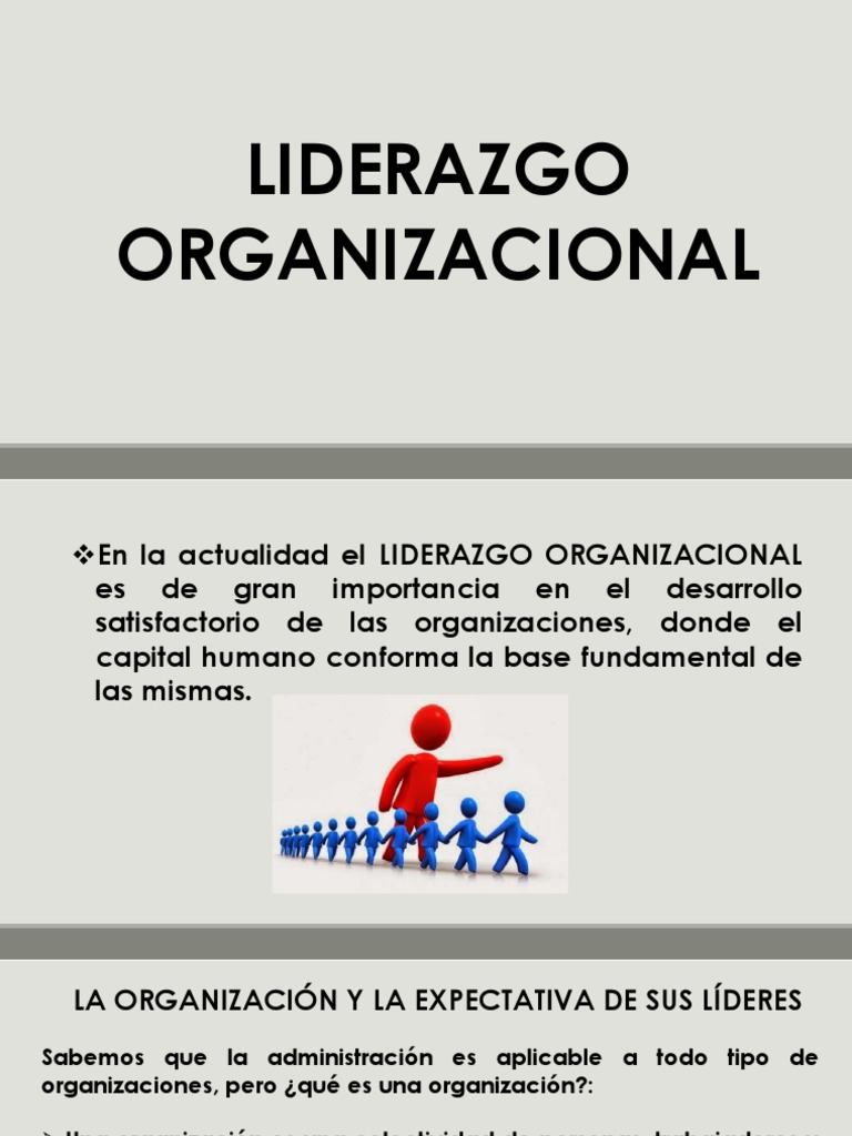 Liderazgo Organizacional Efectivo | PDF | Liderazgo | Economias