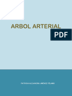 Arbol Arterial