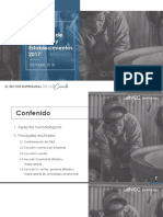 Principales_Resultados_DIEE_2017.pdf