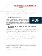 Diversidad Problemática Del Medio Ambiente en El Perú