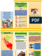 Triptico Como Cambiar Conductas para Mejorar La Salud Materna y Neonatal en America Latina y El Perú.