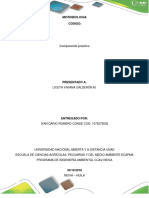 393022798-Informe-Microbiologia-Ambiental-docx.docx