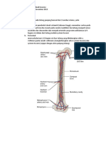 Dokumen - Tips - Vaskularisasi Pada Tulang Femur