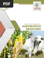 Agronegócio Brasileiro