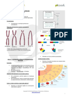 Biologia Citogenetica v04 PDF