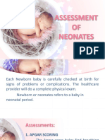 LIBETARIO, Assessment of Neonates