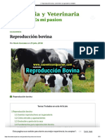 Reproduccion Bovina