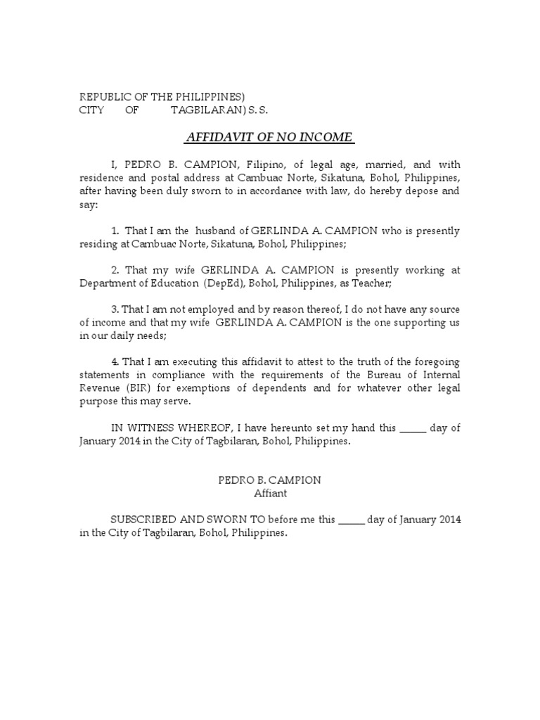 Affidavit of No Income | PDF