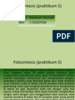 Praktikum 5 Hydrilla