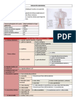 Irrigación Abdominal