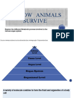 How Animals Survive: Explain The Different Metabolic Process Involved in The Various Organ System