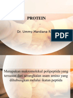 Protein