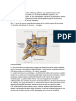 Agujero de Conjunción y Punción Lumbar