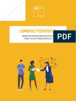Caminatas-pedagógicas2019.pdf