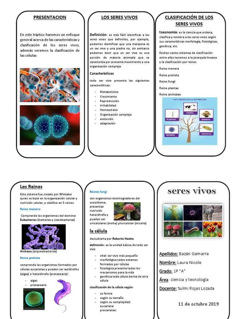 Clasificación y características de seres vivos | PDF | Organismos |  Biología Celular)
