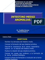 Intestino Medio Anomalias