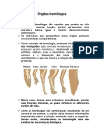 Órgãos Homólogos e Fósseis PDF