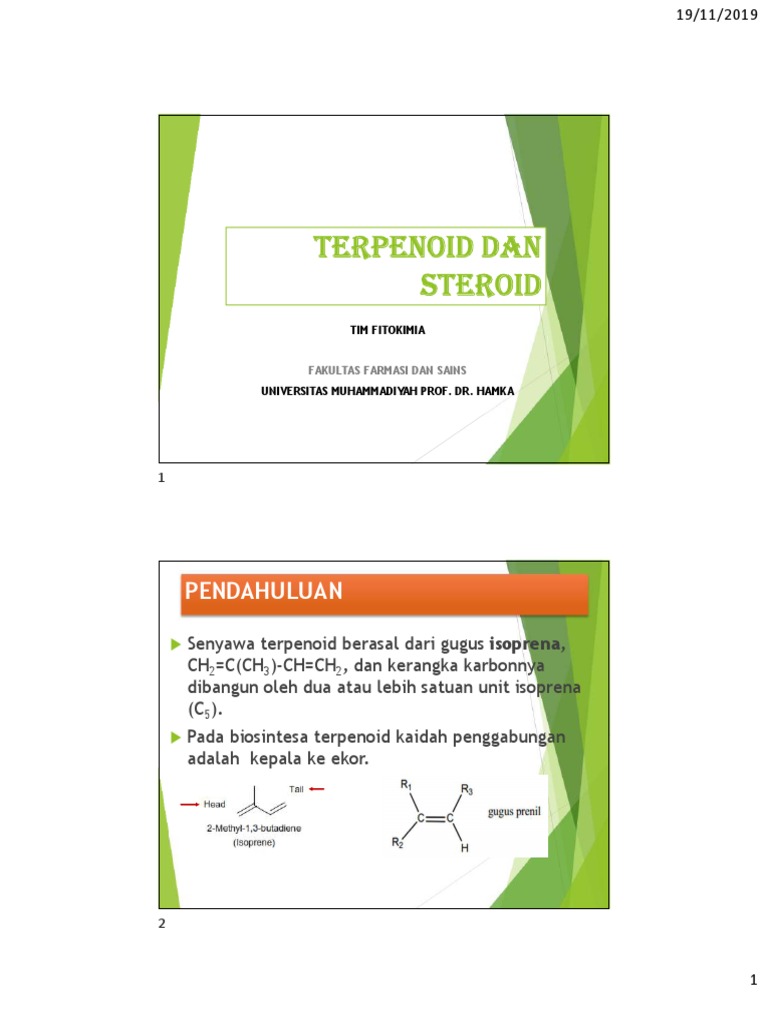 Terpenoid | PDF