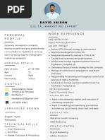 David Jaison - Digital Marketing Resume Example