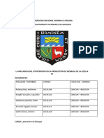 AZOLLA TERMINADO 4 55.docx