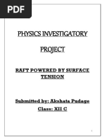 Physics Investigatory Project: Raft Powered by Surface Tension