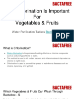 Water Purification Tablets Fruits & Vegetables | Bactafree - S