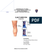 Las Várices Trabajo Final