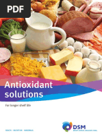 Antioxidant Solutions 2