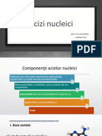 Proiect Acizi Nucleici Bun