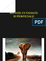 Curs 7 - Micoze Cutanate