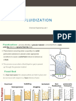 Fludization PDF