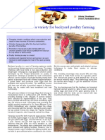 Pilot 3 Vanaraja Backyard Poultry.pdf